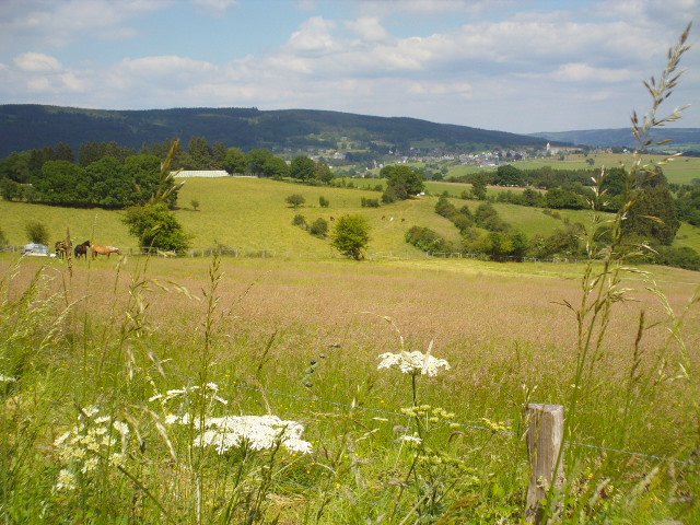 2014hwk 072.jpg
